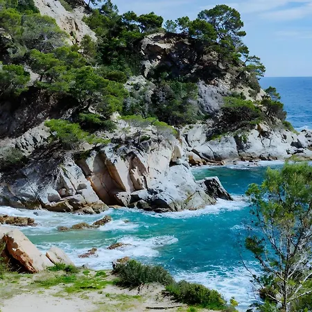 Pequeño Gran Paraíso Cala Llevadó *