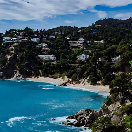 Petit Gran Paradis Cala Llevado 또사데마르